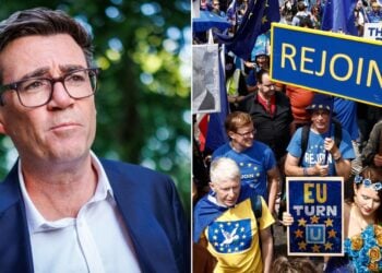 'Labour can be much more pro-EU without losing support' - Sir John Curtis