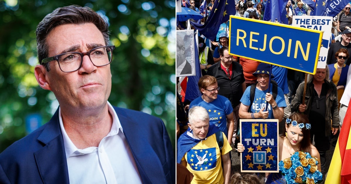 'Labour can be much more pro-EU without losing support' - Sir John Curtis