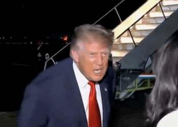 donald trump female reporter