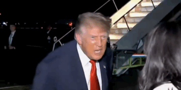 donald trump female reporter