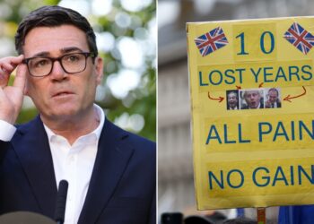 andy burnham eu