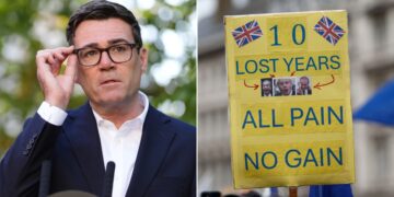 andy burnham eu