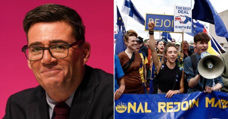 burnham rejoining eu