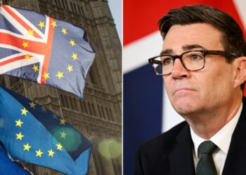 labour rejoin eu