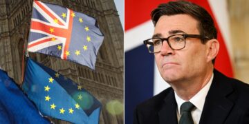 labour rejoin eu