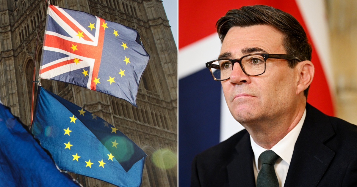 labour rejoin eu