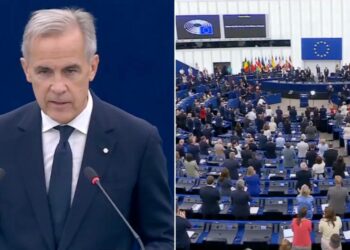 mark carney european parliament speech