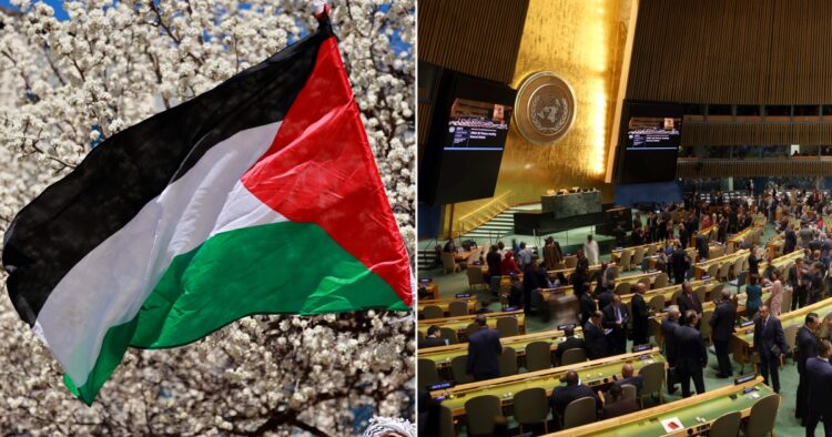 palestine un general assembly