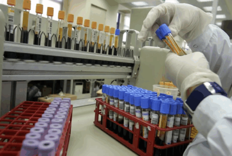 russia plague pandemic