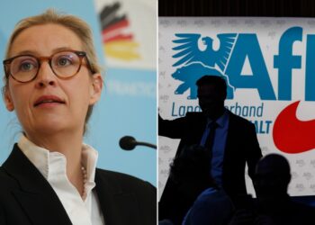 afd support