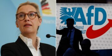 afd support
