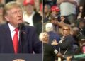 donald trump protestor attacked