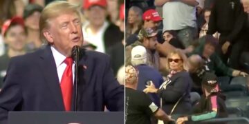 donald trump protestor attacked