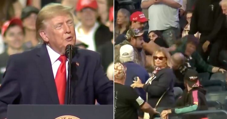 donald trump protestor attacked