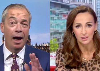 farage interview