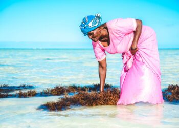 Photo by Keegan Checks: https://www.pexels.com/photo/a-woman-in-pink-dress-cleaning-the-beach-5266252/