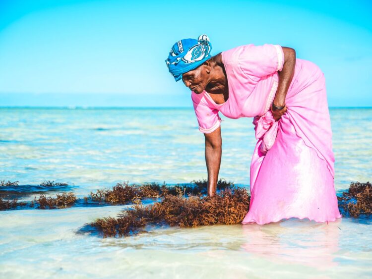 Photo by Keegan Checks: https://www.pexels.com/photo/a-woman-in-pink-dress-cleaning-the-beach-5266252/