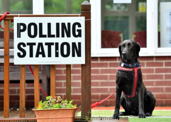 snap election