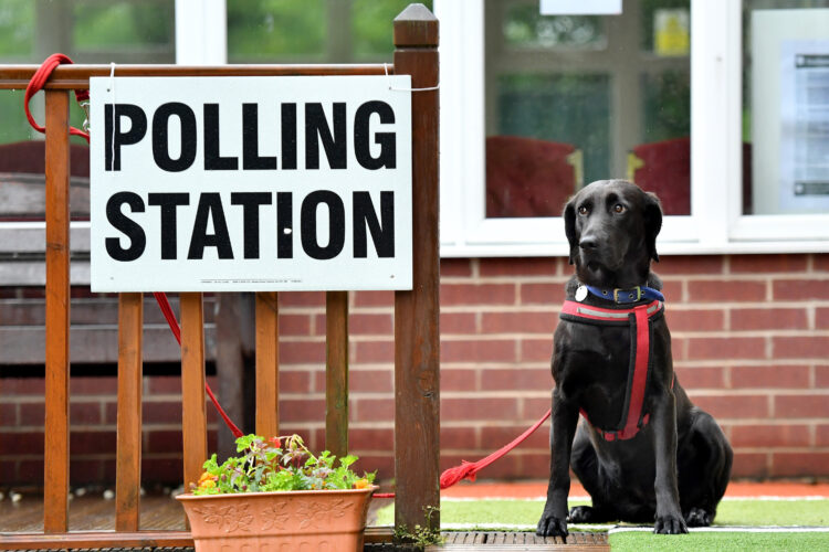 snap election