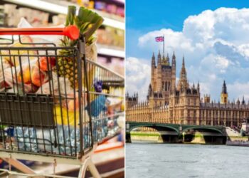where you shop politics